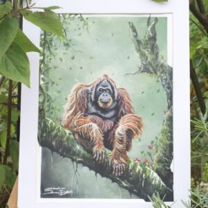 Forest Sentinel (Original)