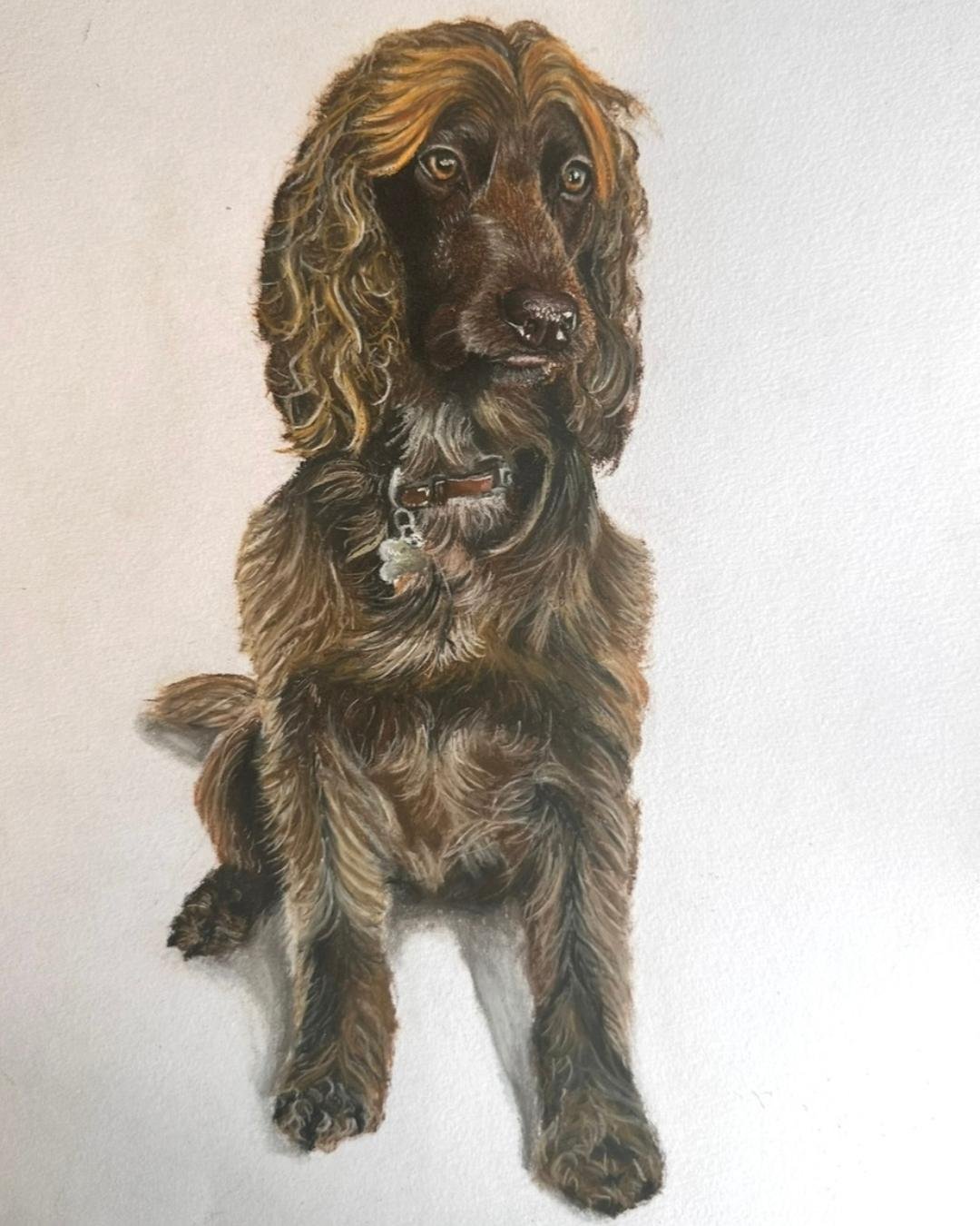 Pet dog drawing commission