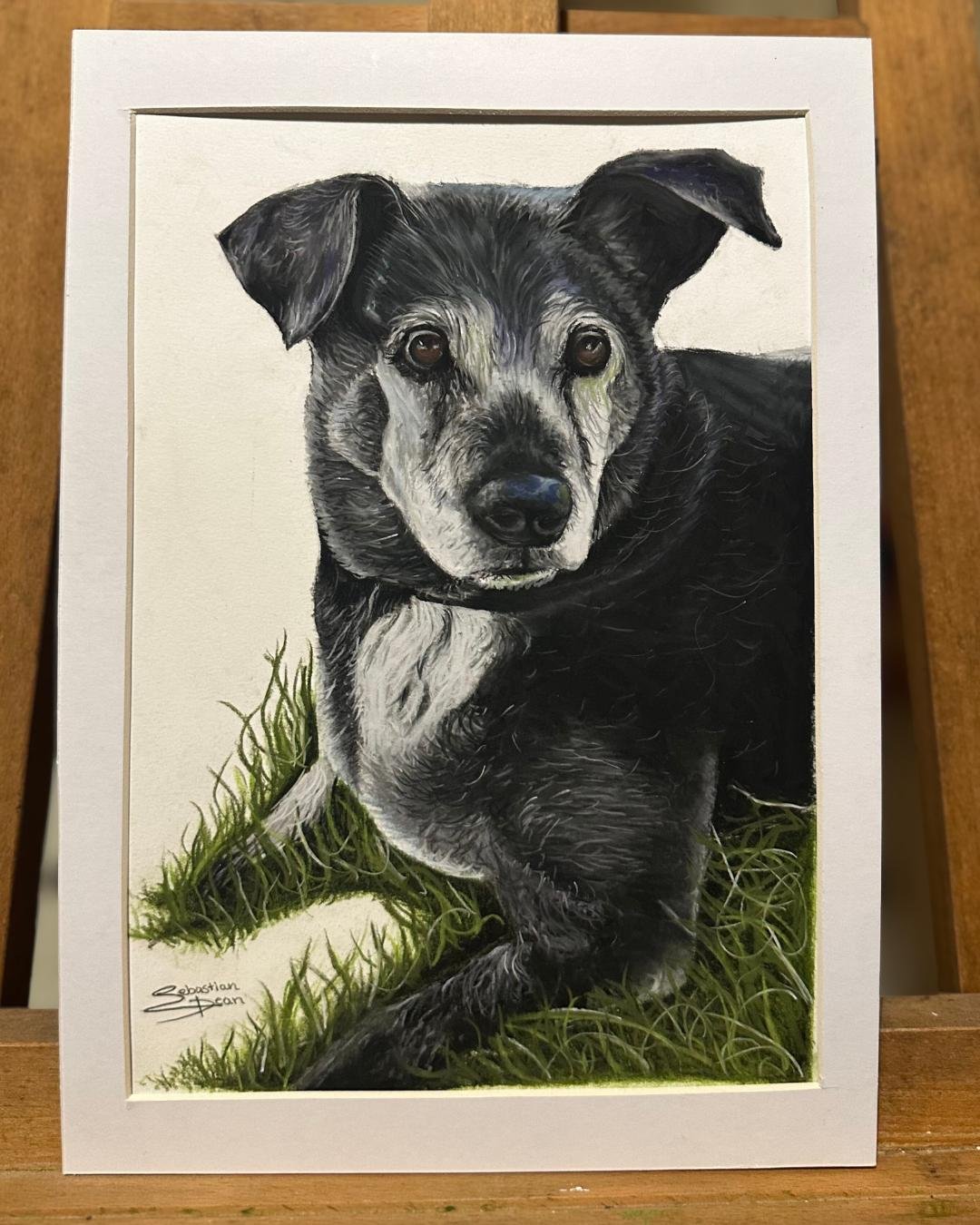 Pet painting commission