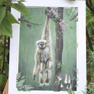 Serenity In Suspension (Original)